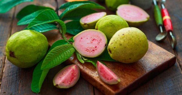 wellhealthorganic.com:5 amazing health benefits of guava