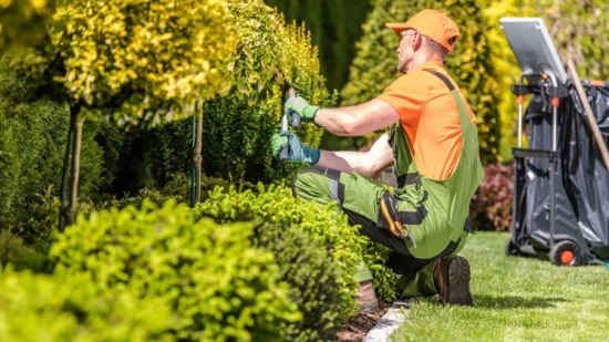 How to Find the Best Landscaper for Your Home