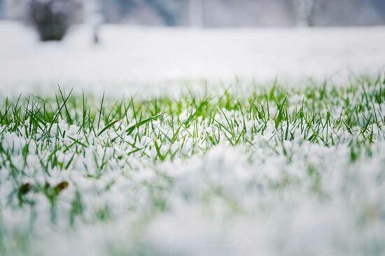 How to keep your lawn healthy in colder weather