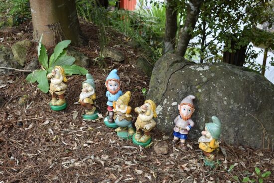 Photo The 7 dwarfs personalities