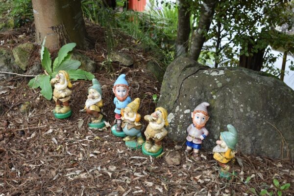 Photo The 7 dwarfs personalities